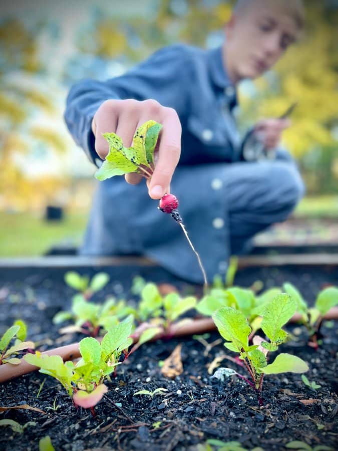 Student gardening at the Mezzo Farm School