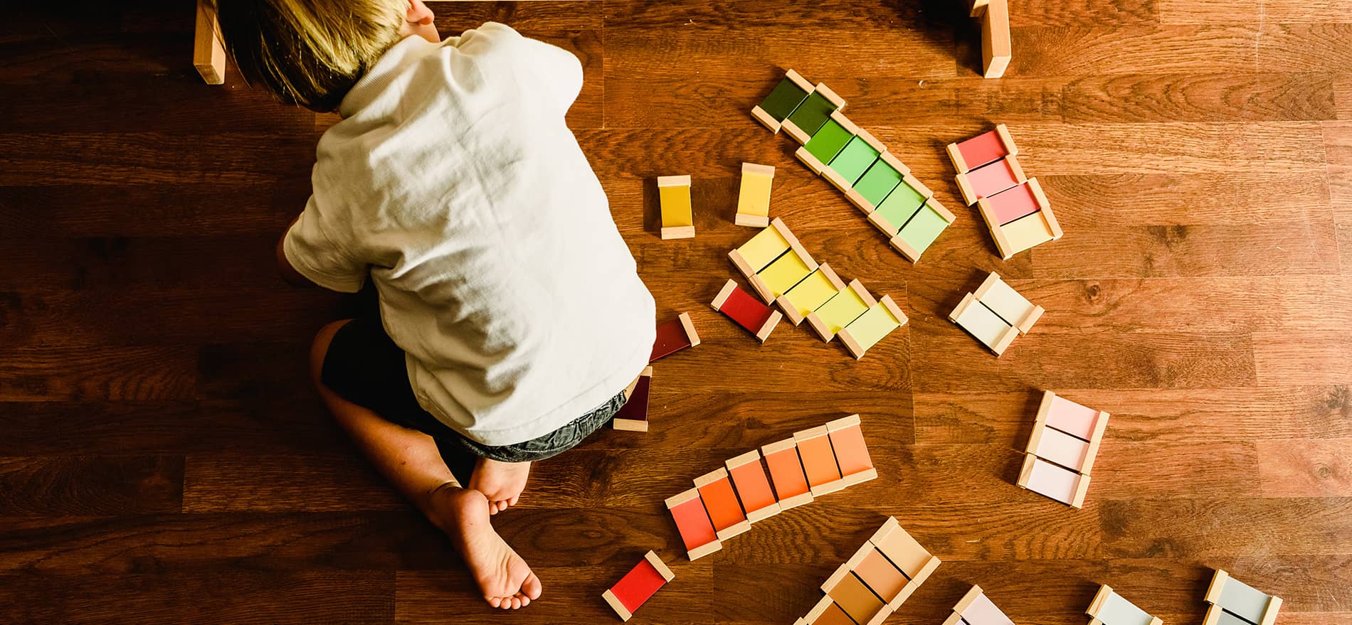 Palmetto Campus Authentic Montessori School in Downtown Charleston, SC