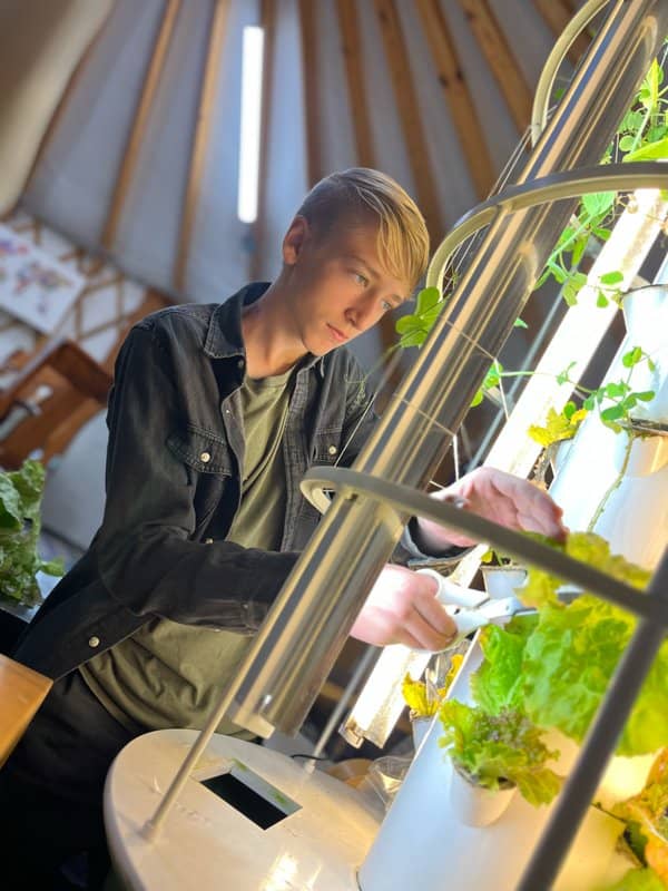 Students learning on the farm